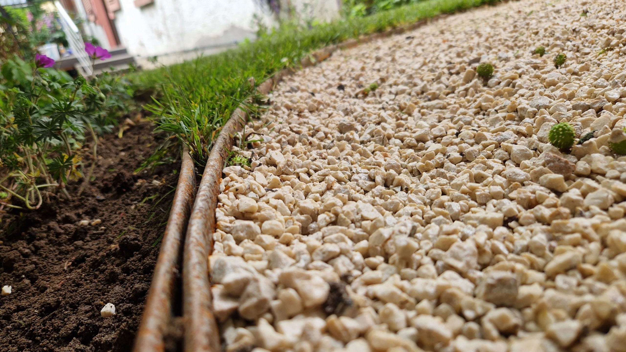 Detailansicht einer Kiesfläche mit angrenzender Beetkante aus Cortenstahl – Gestaltung Hinterhof Frankfurt Nordend.